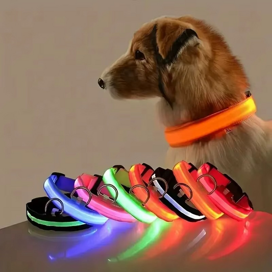 GlowPup™ LED light-up dog collar by Zuka & Co., waterproof, adjustable with 3 flash modes and a strong leash ring, XS–XL size.