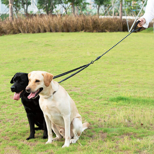 Double dog leash coupler by Zuka & Co. designed for walking two dogs, showcasing sturdy clips and adjustable length.
